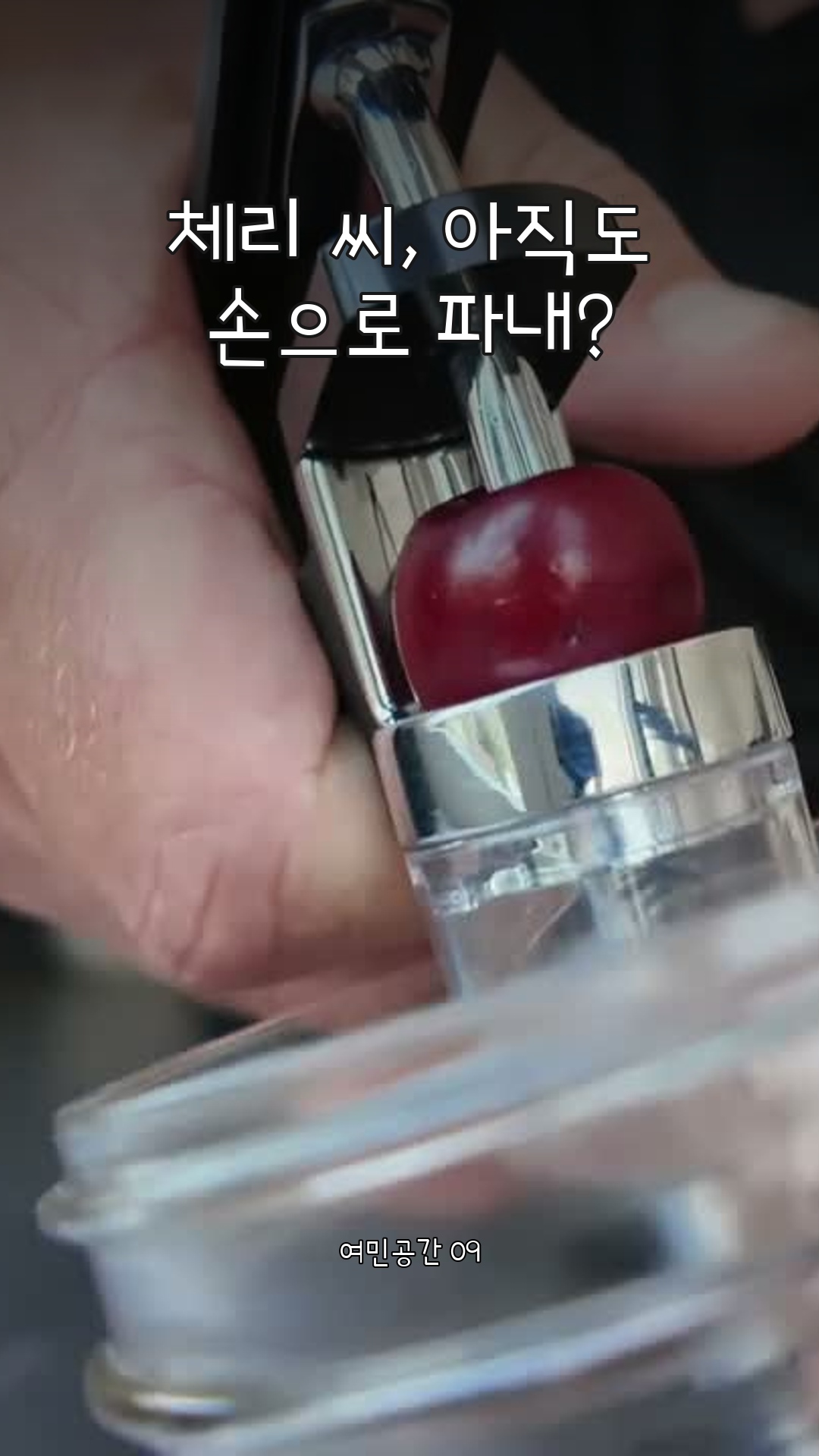 옥소 체리 씨 제거기 실제 시연